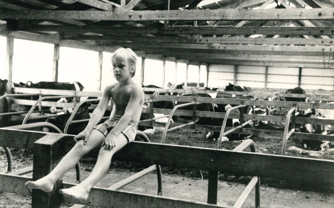 Filmstill aus WE ARE THE GUINEA PIGS: Ein Kind sitzt in einem Stall, hinter ihm sind Kühe zu sehen.