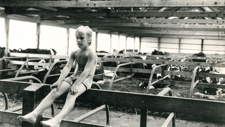 Film still from WE ARE THE GUINEA PIGS: A child sits in a stable, behind him cows can be seen.