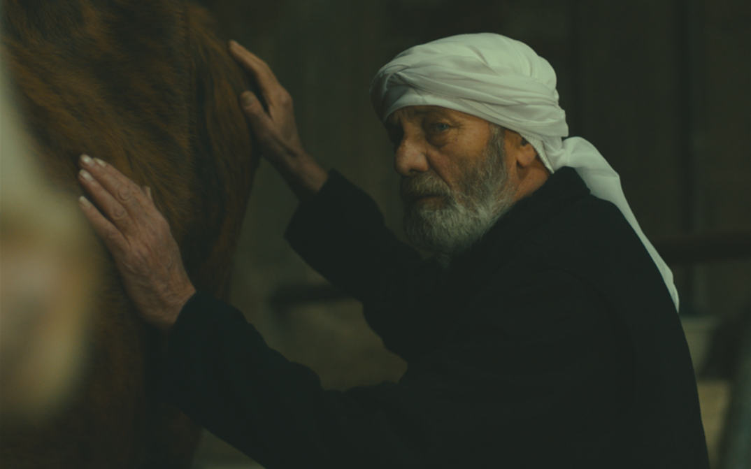 Filmstill aus THE STRANGER. Ein älterer Mann hat seine Hände auf dem Körper einer Kuh.