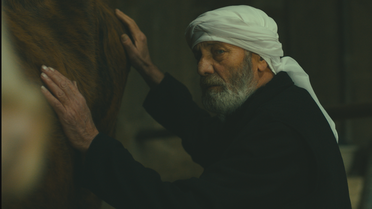 Filmstill aus THE STRANGER. Ein älterer Mann hat seine Hände auf dem Körper einer Kuh.