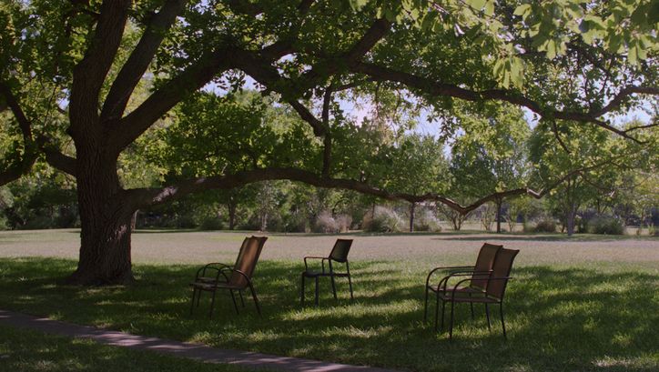 Filmstill aus FAMILY PORTRAIT: An einem sonnigen Tag stehen einige Stühle unter einem großen Baum im Schatten.