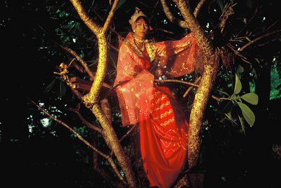 Dancer Aung Kyaw Sann sits in a tree and embodies the nat Ma Ngwe Daung “Lady Silver Wings”