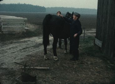 A man and a woman stand on two sides of a black horse, which is facing away from the camera. They are beside the wall of a barn, and we see a field in the background. 