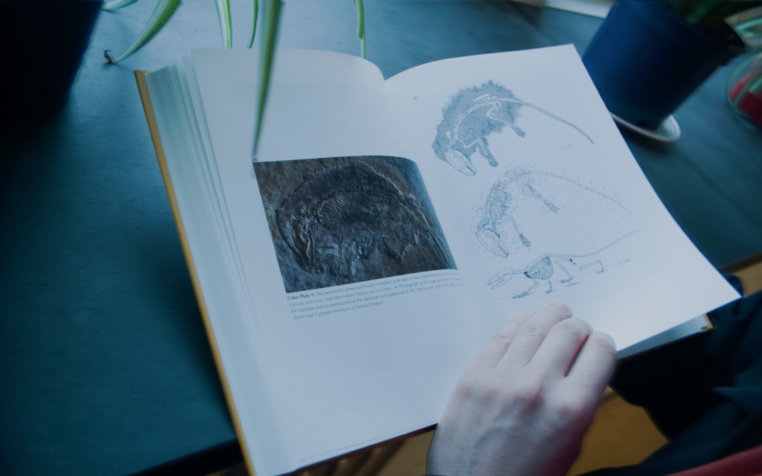 Film still from It’s a Long Way from Amphioxus: A hand leafs through a book with illustrations of dinosaur skeletons.