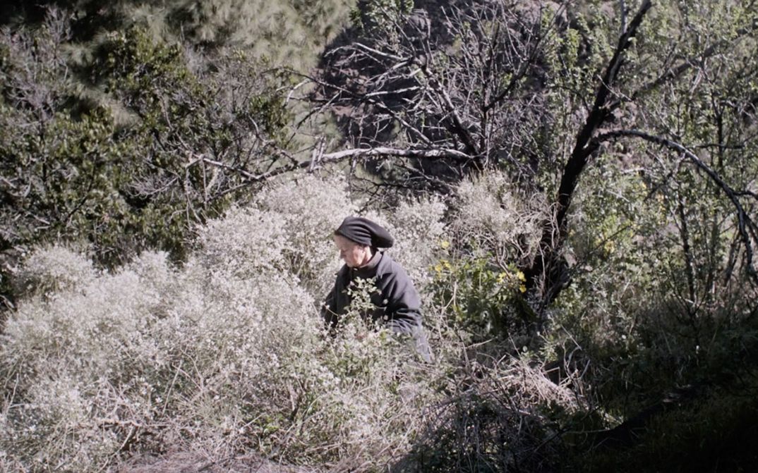 Filmstill aus "La hojarasca" von Macu Machín. Zu sehen ist eine Person inmitten von Büschen am Rande eines Waldes.