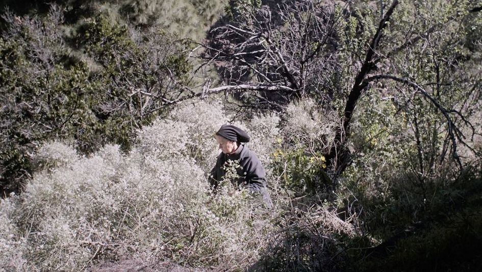 Film still from "La hojarasca" by Macu Machín. It shows a person surrounded by bushes at the edge of a forest. 