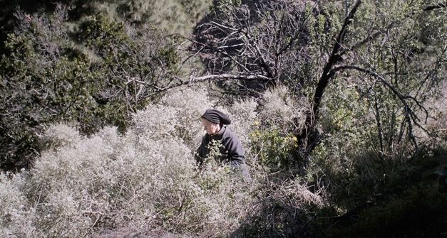 Film still from "La hojarasca" by Macu Machín. It shows a person surrounded by bushes at the edge of a forest. 