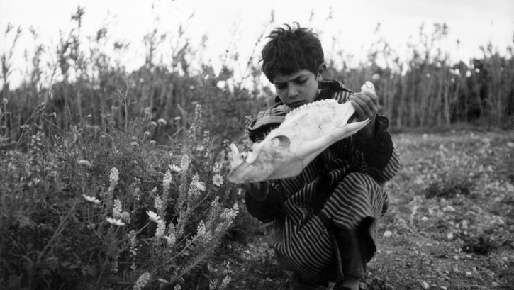 Filmstill aus HAMIDA: Ein Kind hält am Rand eines Feldes ein Tierskelett in der Hand.