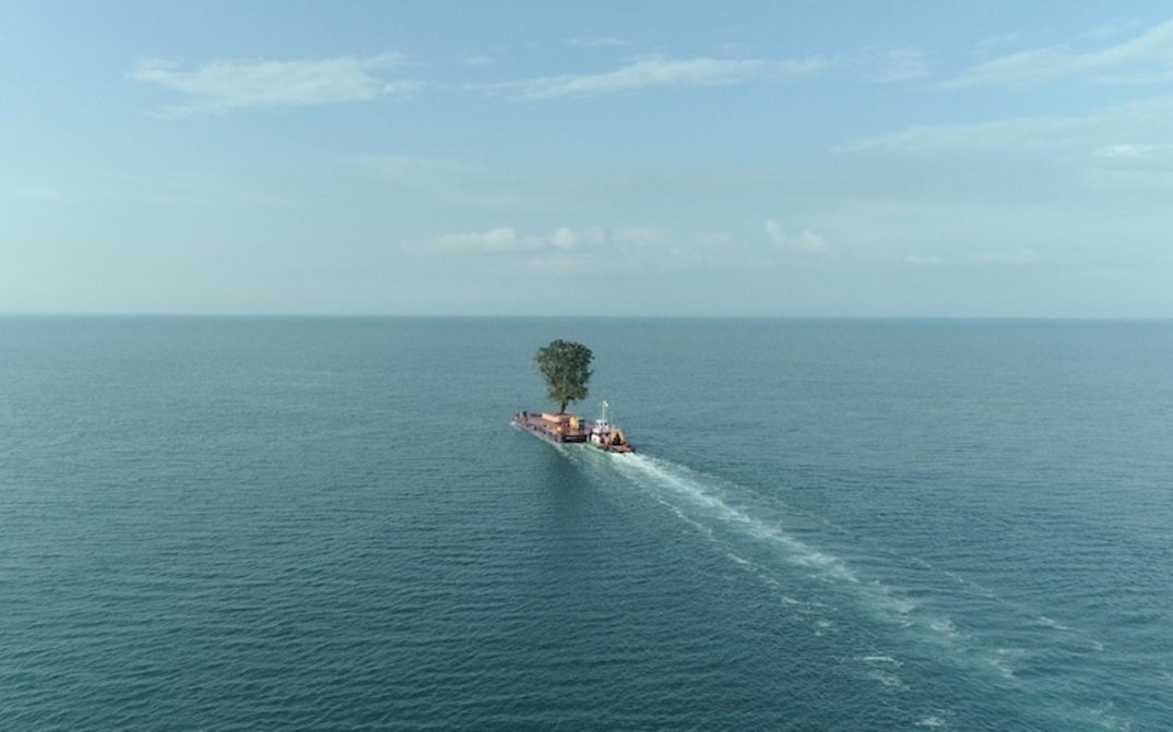Film still from TAMING THE GARDEN: On the sea you can see a small ship with a large tree on it.