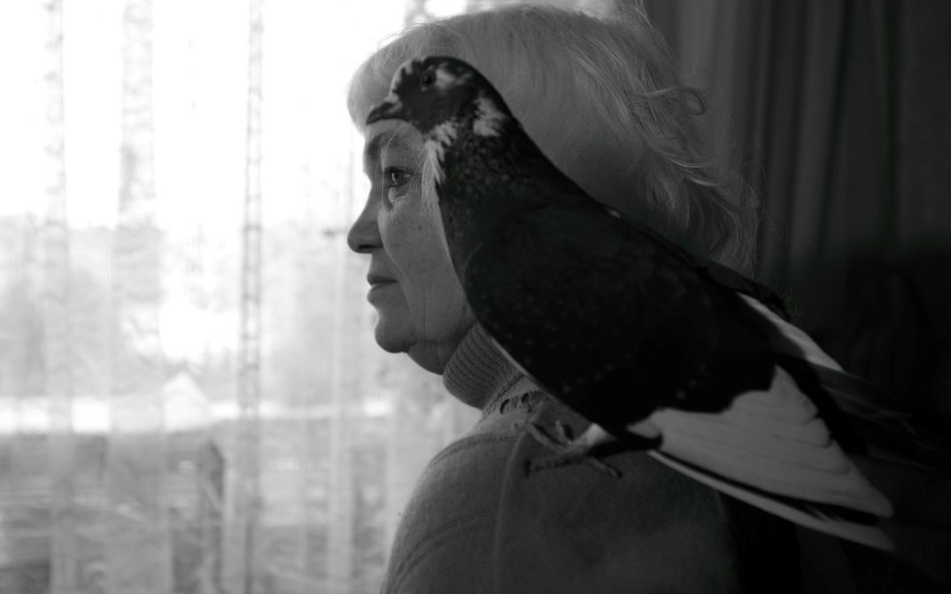 Filmstill aus 33 ANIMALS OF SANTA CLAUS: Eine Frau steht vor einem Fenster mit Gardinen. Auf ihrer Schulter sitzt ein Vogel.