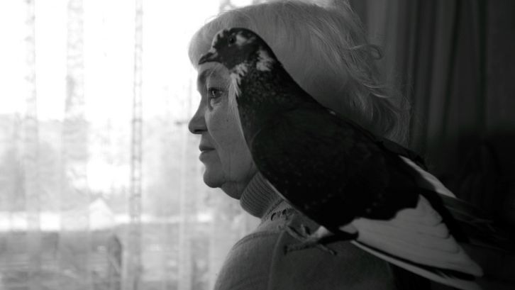 Film still from 33 ANIMALS OF SANTA CLAUS: A woman stands in front of a window with curtains. A bird sits on her shoulder.