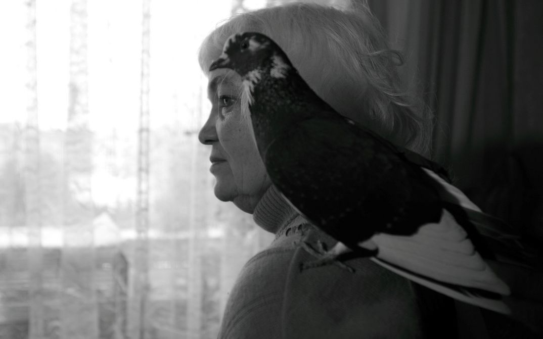 Filmstill aus 33 ANIMALS OF SANTA CLAUS: Eine Frau steht vor einem Fenster mit Gardinen. Auf ihrer Schulter sitzt ein Vogel.