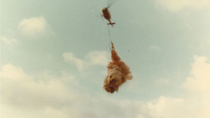 Filmstill aus DIE RACHE DER NATUR: Ein Helikopter vor einem bewölkten Himmel.