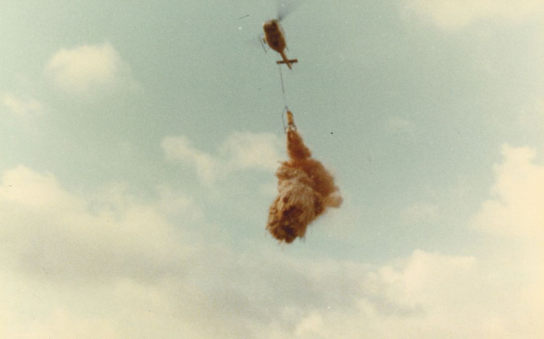 Film still from NATURE