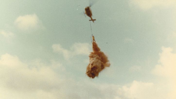 Film still from NATURE