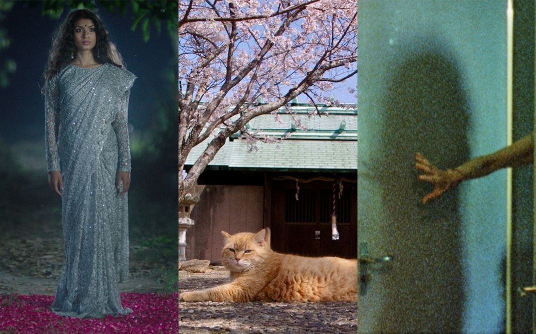 Collage from stills from the Forum main programme